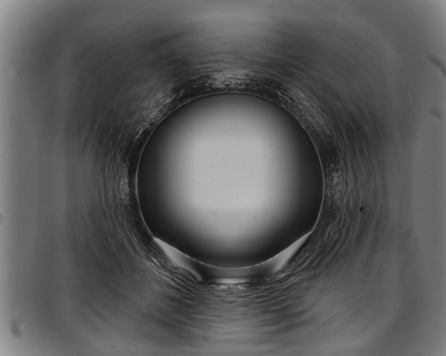 X0000097470508200802291314