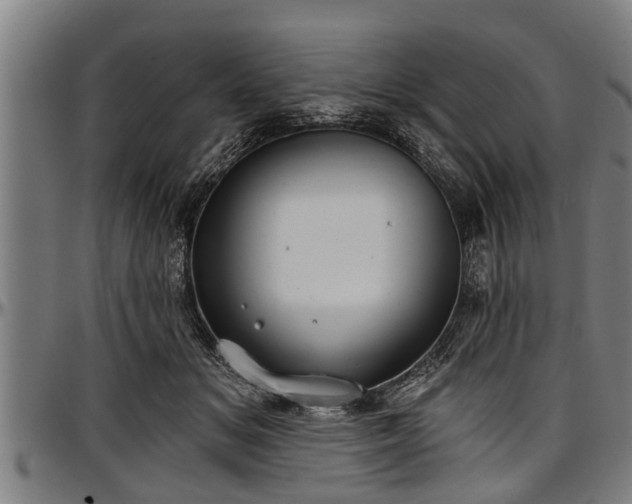 X0000097470509200802291314