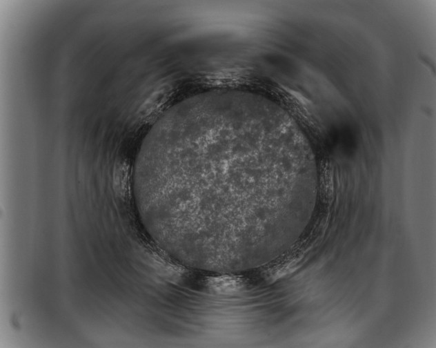 X0000097470511200802291314