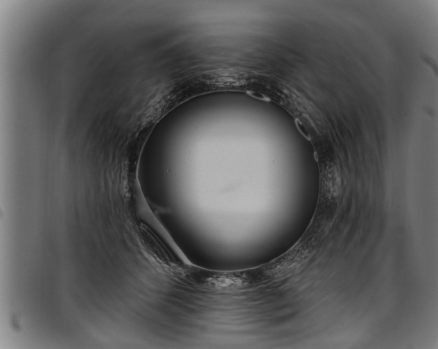 X0000097470512200802291314