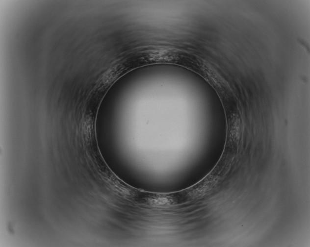 X0000097470513200802291314
