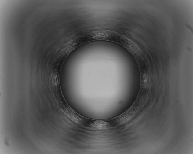 X0000097470514200802291314