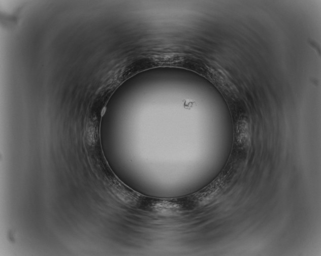 X0000097470515200802291314