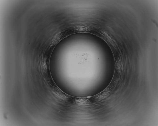 X0000097470516200802291314