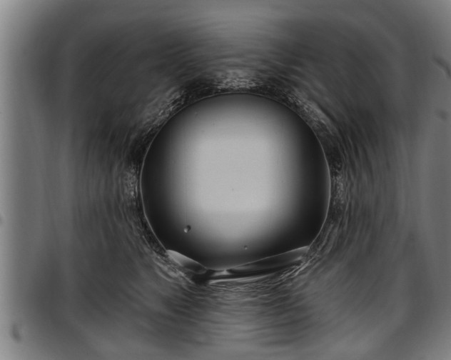 X0000097470517200802291314