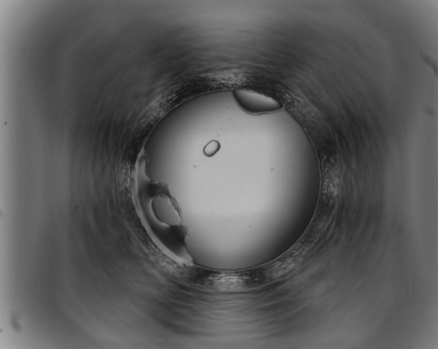 X0000097470518200802291314
