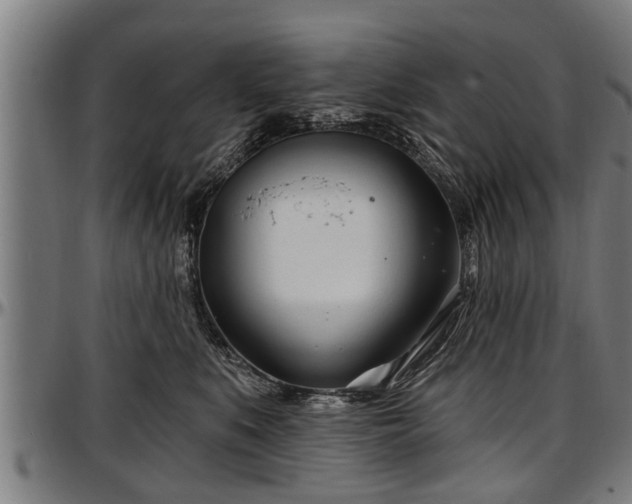 X0000097470519200802291314