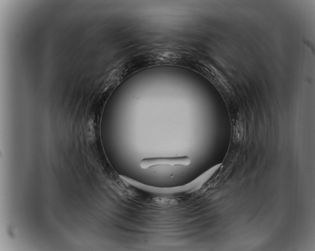 X0000097470520200802291314