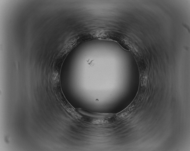 X0000097470521200802291314