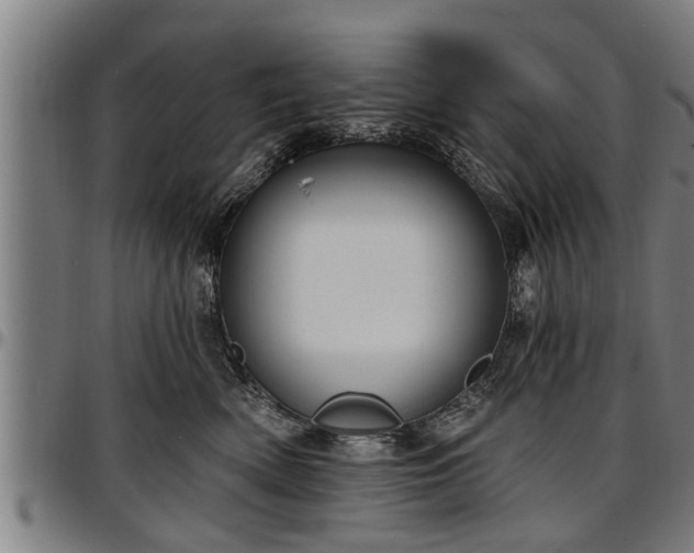 X0000097470522200802291314