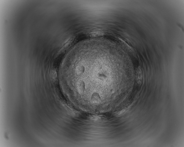 X0000097470523200802291314