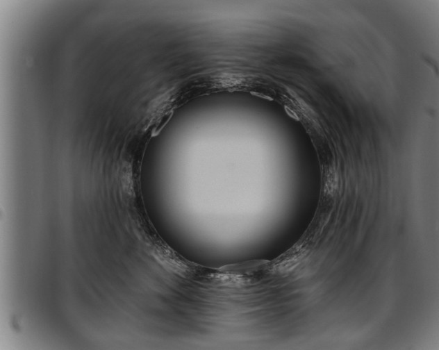X0000097470524200802291314