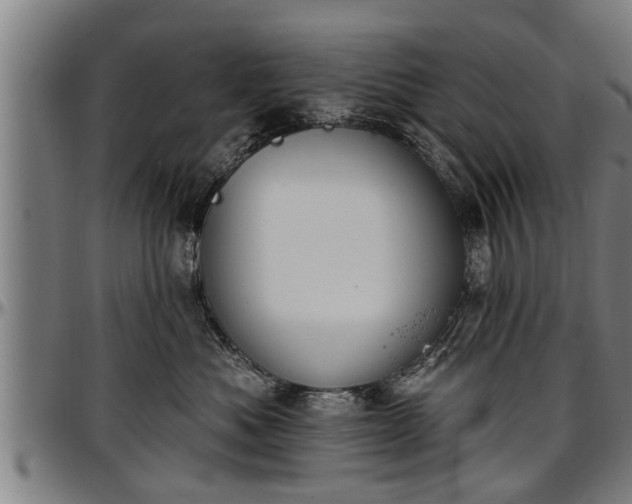 X0000097470525200802291314