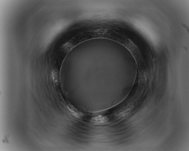 X0000097470526200802291314