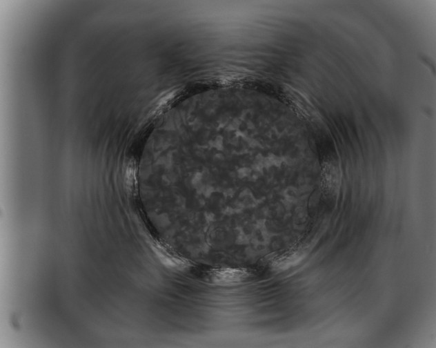 X0000097470527200802291314
