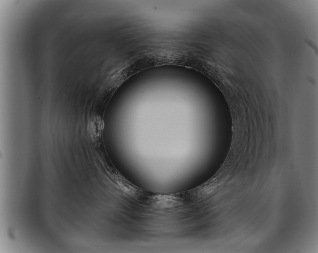 X0000097470528200802291314