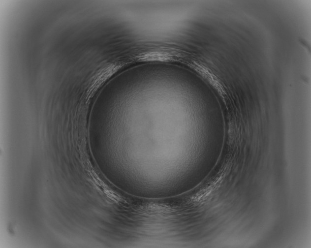 X0000097470529200802291313