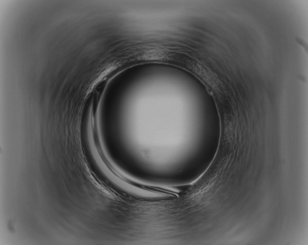 X0000097470530200802291313