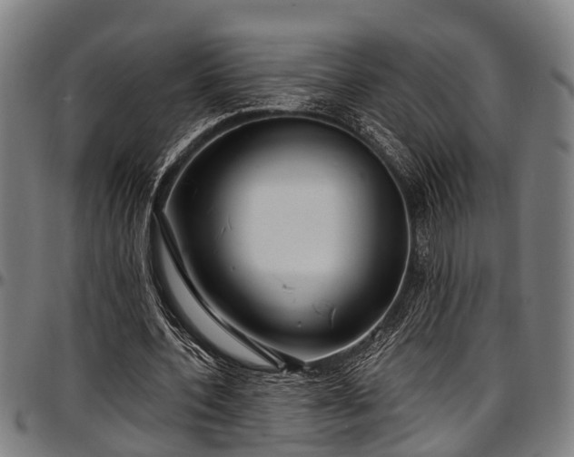 X0000097470532200802291313