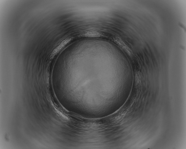 X0000097470533200802291313