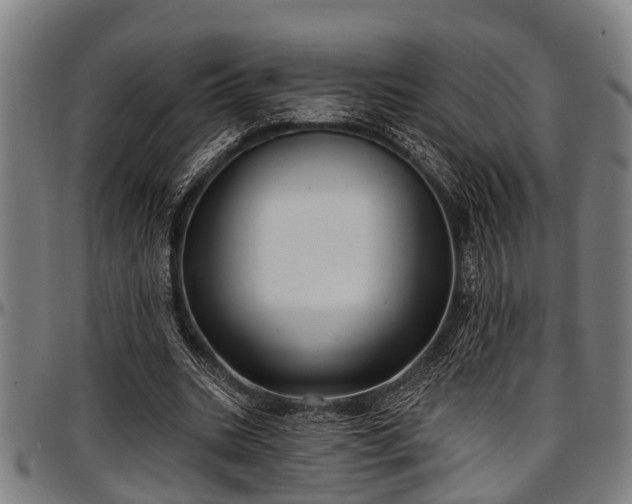 X0000097470535200802291313