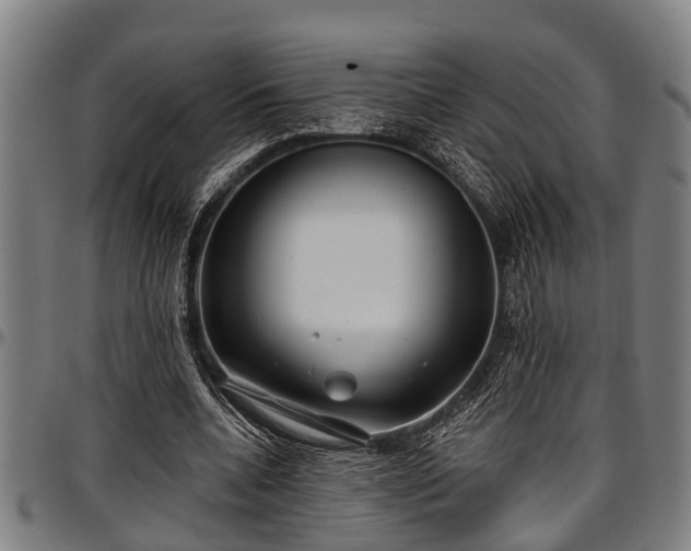 X0000097470536200802291313