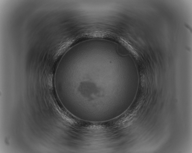 X0000097470537200802291313
