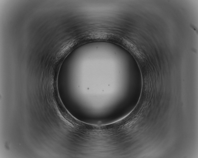 X0000097470538200802291313