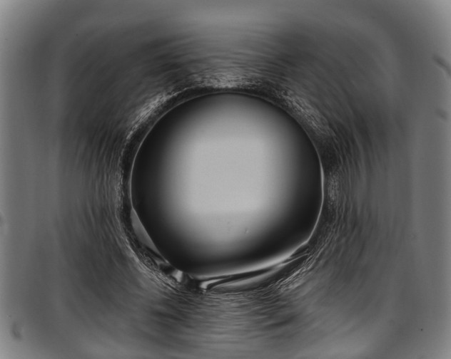 X0000097470540200802291313