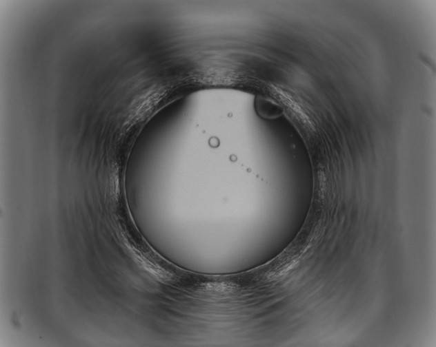 X0000097470541200802291313
