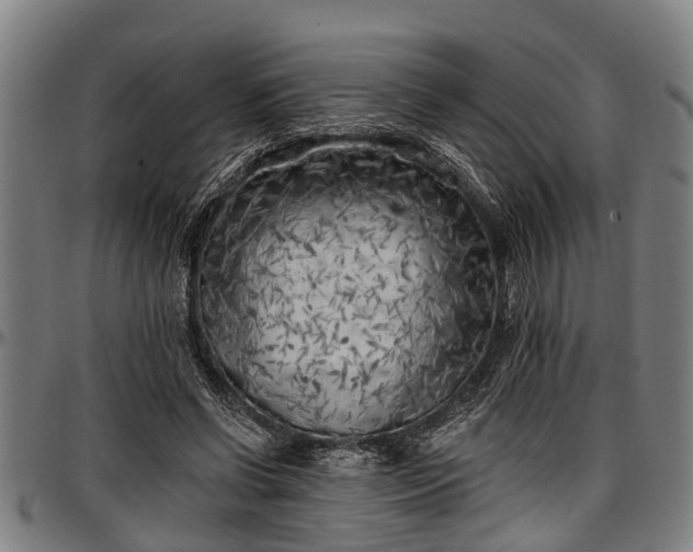 X0000097470542200802291313