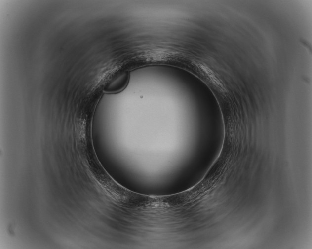 X0000097470543200802291313