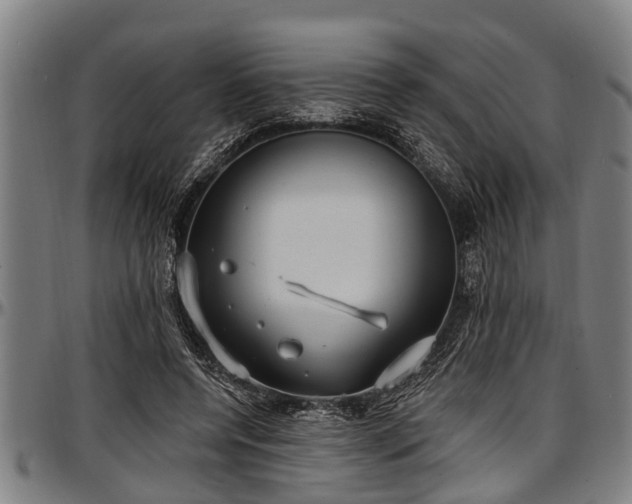 X0000097470544200802291313