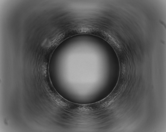 X0000097470545200802291313