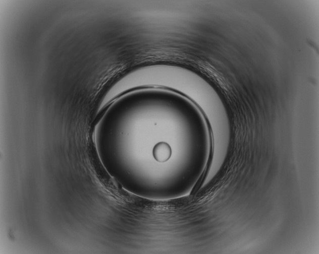X0000097470546200802291313