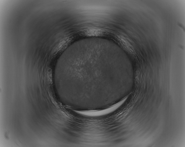 X0000097470547200802291313