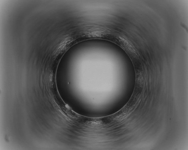 X0000097470548200802291313