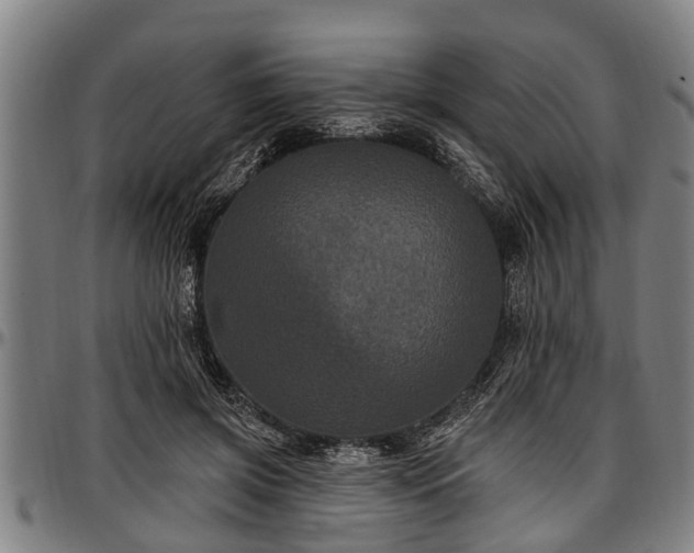 X0000097470549200802291313