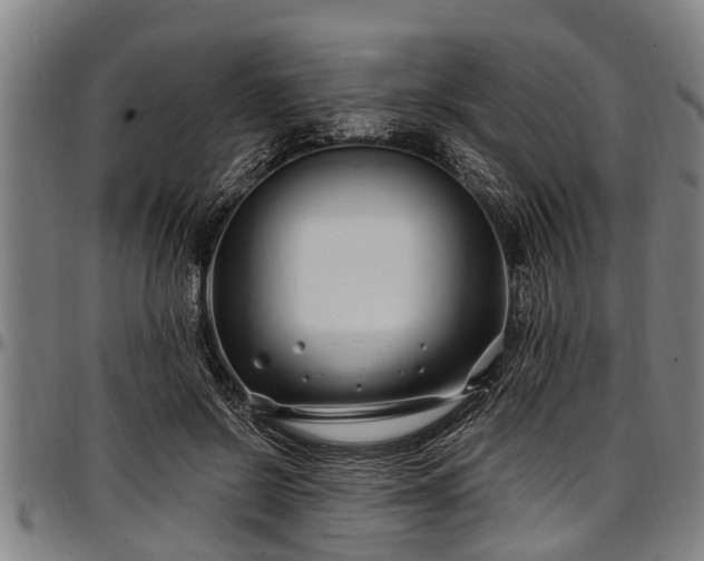 X0000097470550200802291313
