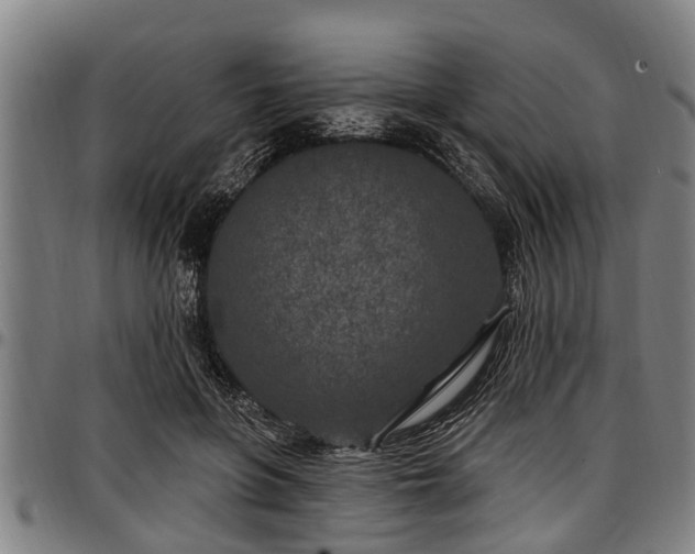 X0000097470551200802291313