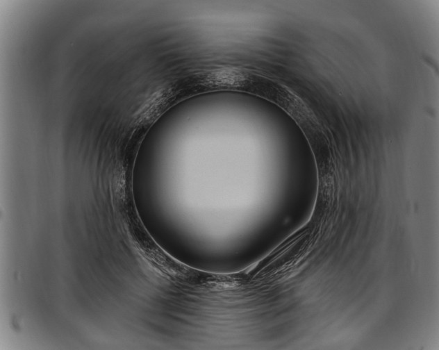 X0000097470552200802291313