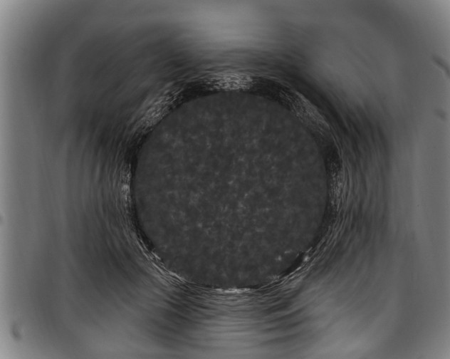 X0000097470553200802291313