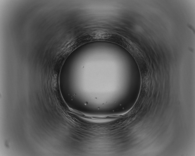 X0000097470554200802291313