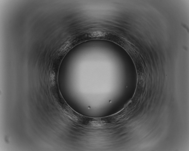 X0000097470556200802291313