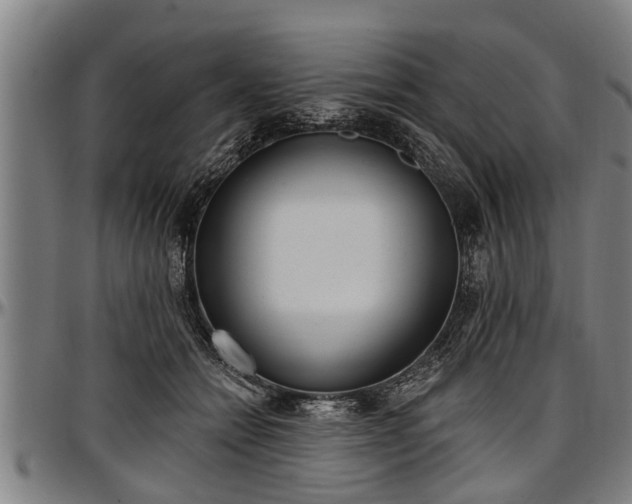 X0000097470558200802291313