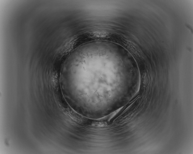X0000097470559200802291313
