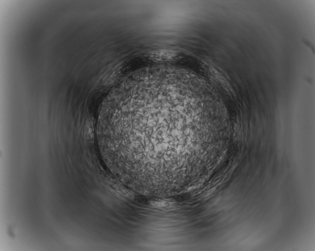 X0000097470561200802291313
