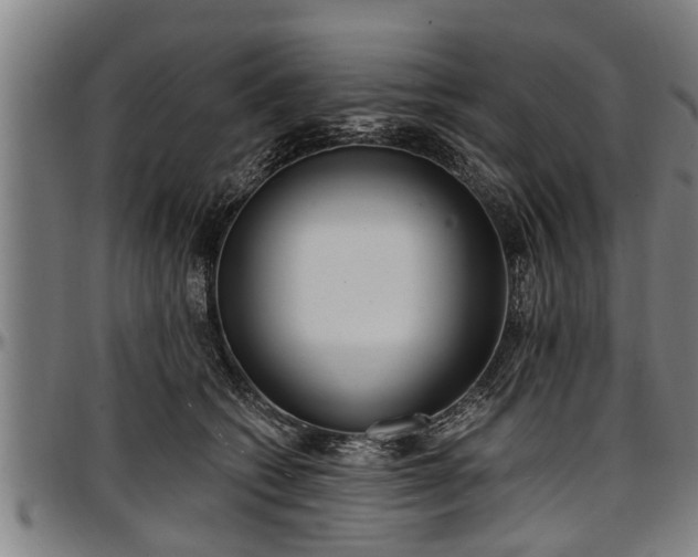 X0000097470562200802291313
