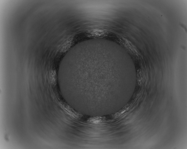X0000097470563200802291313