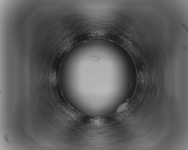 X0000097470564200802291314